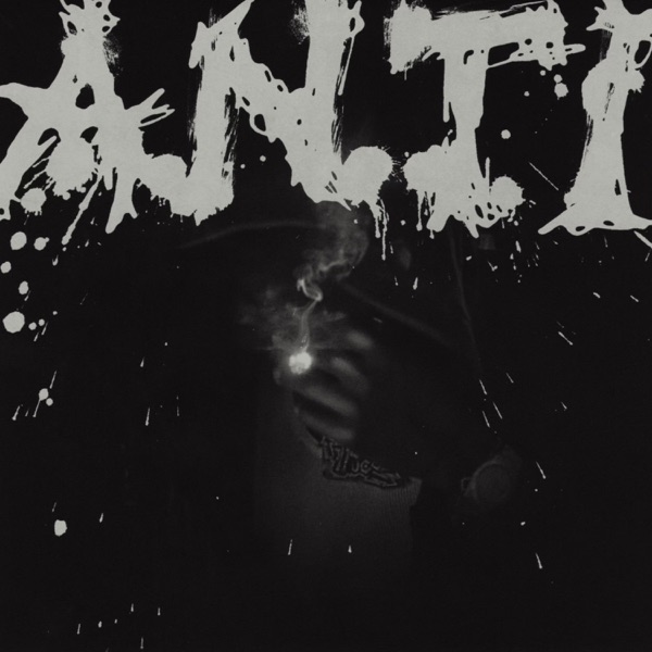 ANTI封面