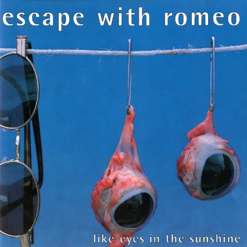 Like Eyes in the Sunshine封面