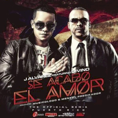 Se acabó el amor (remix)封面