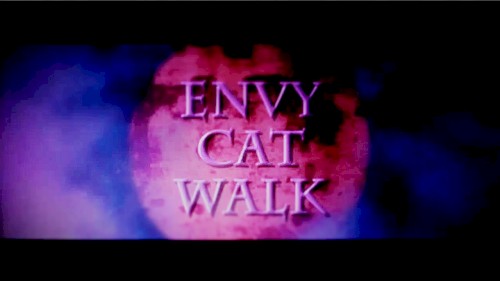 エンヴィキャットウォーク封面