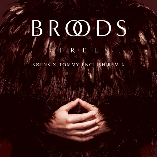 Free (BØRNS x Tommy English remix)封面