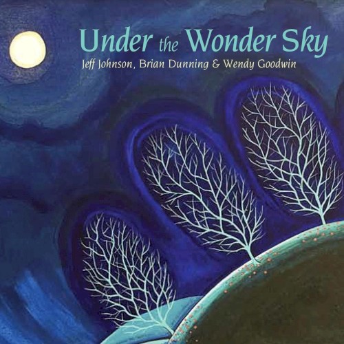 Under the Wonder Sky封面