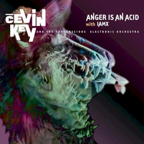 Anger Is an Acid封面