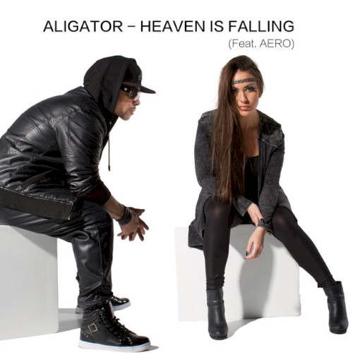 Heaven Is Falling (remixes)封面