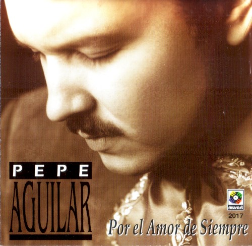 Por el amor de siempre封面