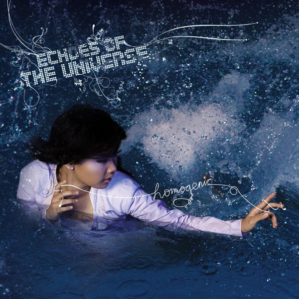 Echoes of the Universe封面