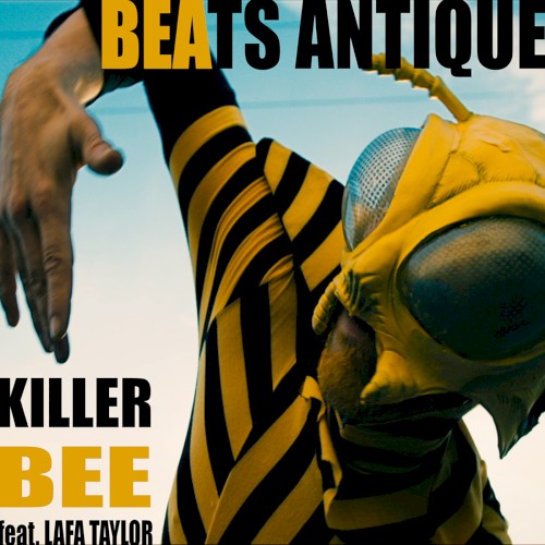 Killer Bee封面