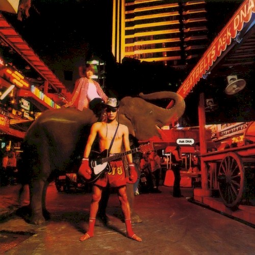 Cowboy Bebop: Ask DNA封面