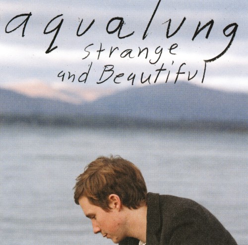 Strange and Beautiful封面