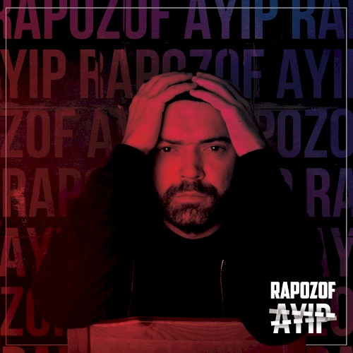 Ayıp封面