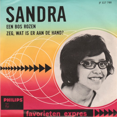 Een bos rozen / Zeg, wat is er aan de hand?封面