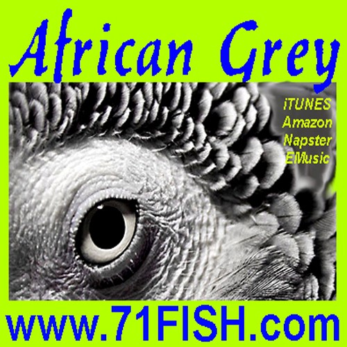 African Grey封面