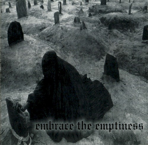 Embrace the Emptiness封面