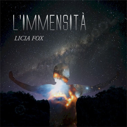 L’immensità封面