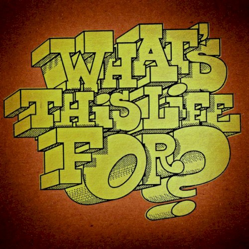 What's This Life For?封面