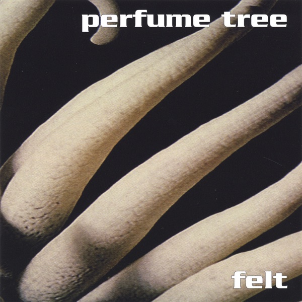 Felt封面