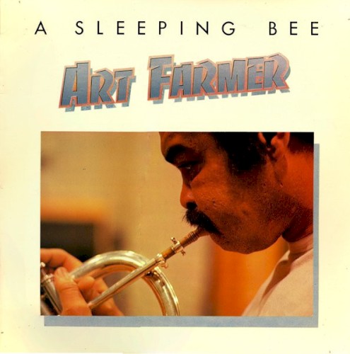 A Sleeping Bee封面
