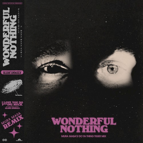 Wonderful Nothing (Mura Masa’s Do Ya Thing Tiger mix)封面