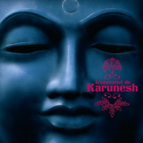 L'essentiel de Karunesh封面