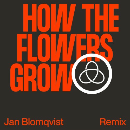 How the Flowers Grow (Jan Blomqvist remix)封面