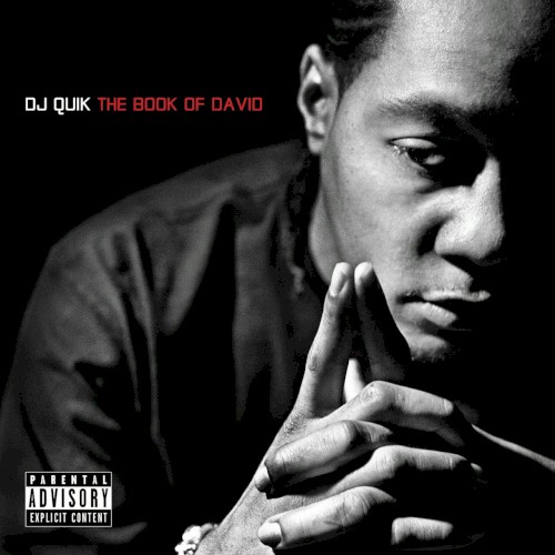The Book of David封面