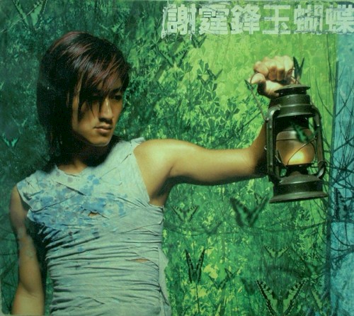 玉蝴蝶封面
