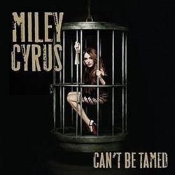 Can’t Be Tamed封面