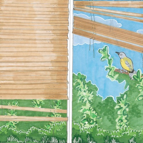 Bird Sing封面