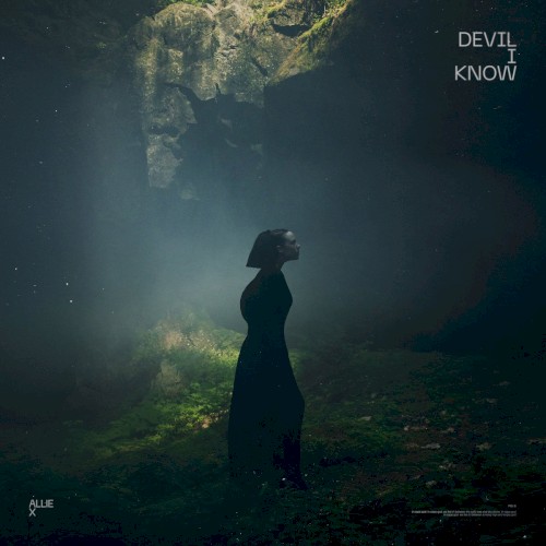 Devil I Know封面