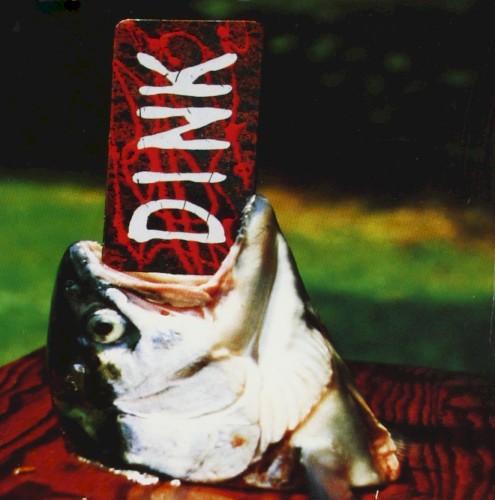 Dink封面