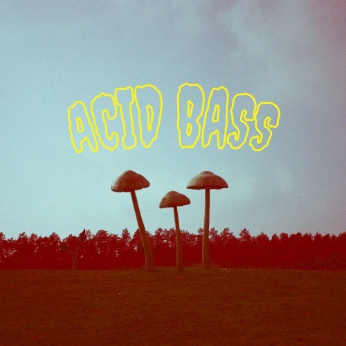 Acid Bass封面