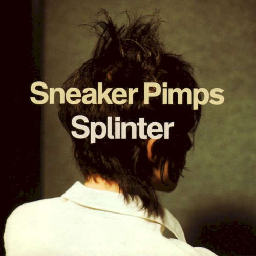 Splinter封面