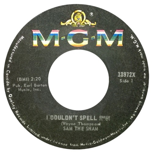 The Down Home Strut / I Couldn't Spell !!*@!封面