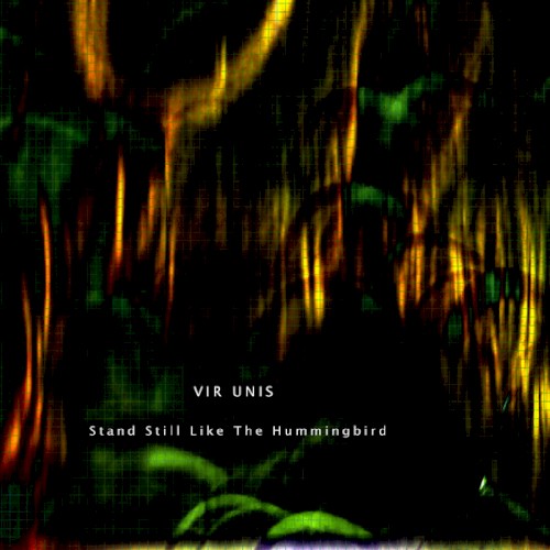 Stand Still Like the Hummingbird封面