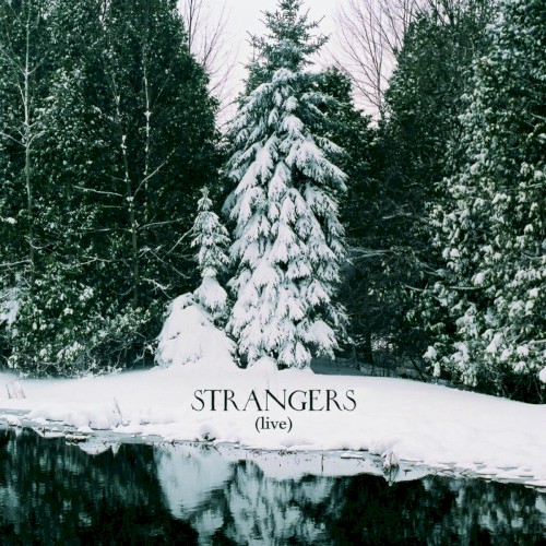 Strangers (live)封面