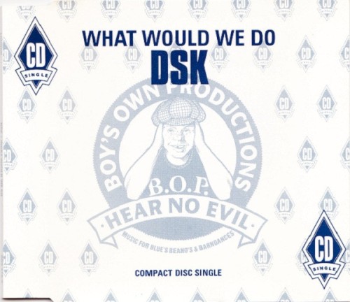 What Would We Do?封面