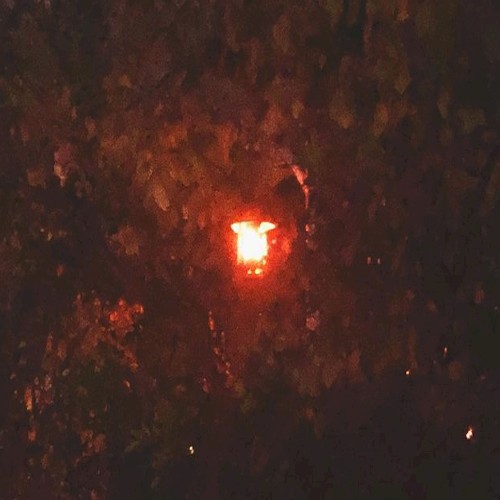 Within the Lightseam封面