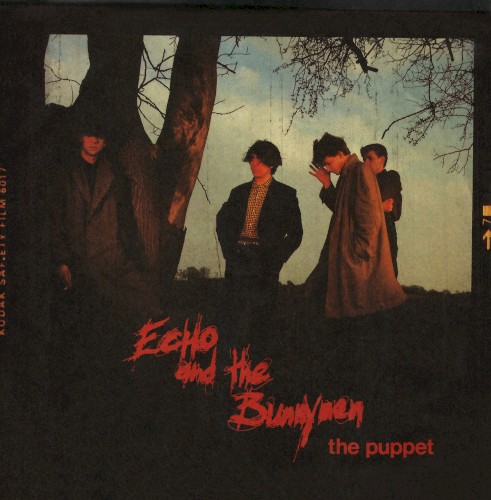 The Puppet封面