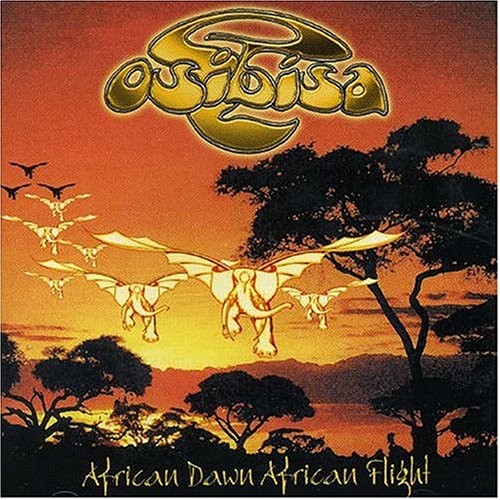 African Dawn African Flight封面