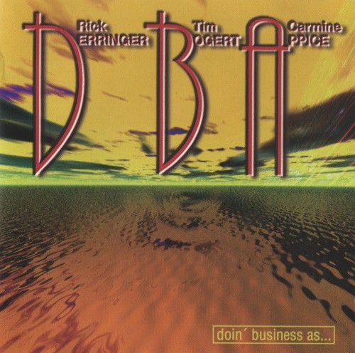 Doin' Business As封面