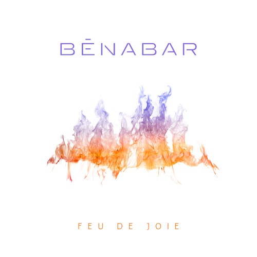 Feu de joie封面