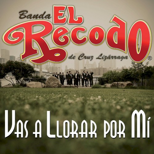 Vas a llorar por mí封面