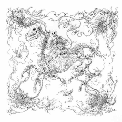 Tessellate / Zoo Hypothesis封面
