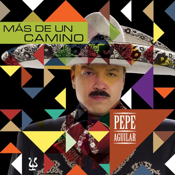 Más de un camino封面