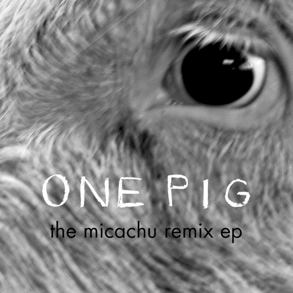 One Pig (Micachu Remix EP)封面