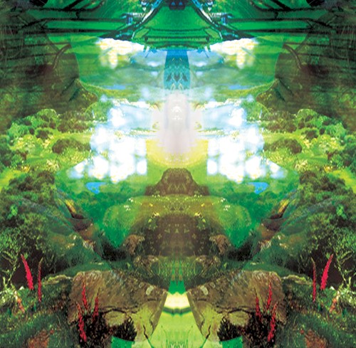 The Invisible Landscape封面