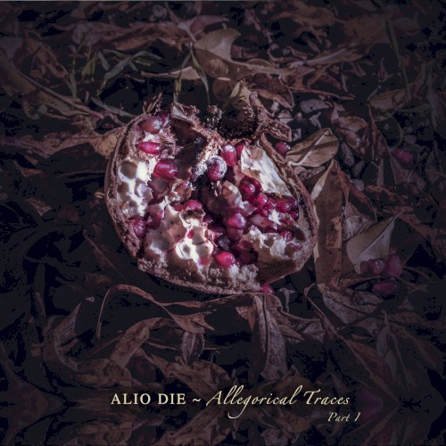 Allegorical Traces, Part I封面