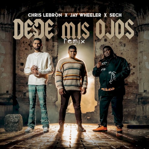 Desde mis ojos (remix)封面