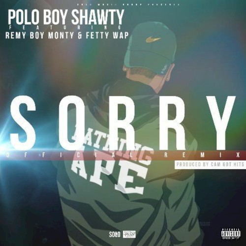 Sorry (remix)封面
