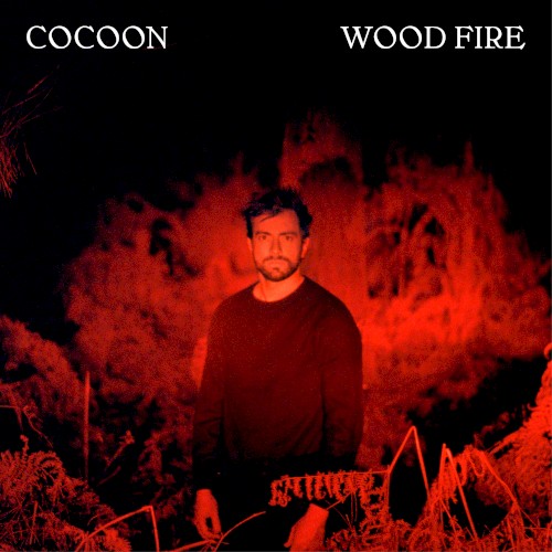 Wood Fire封面